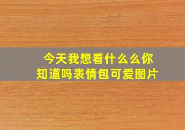 今天我想看什么么你知道吗表情包可爱图片