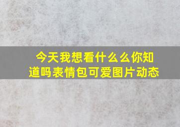 今天我想看什么么你知道吗表情包可爱图片动态