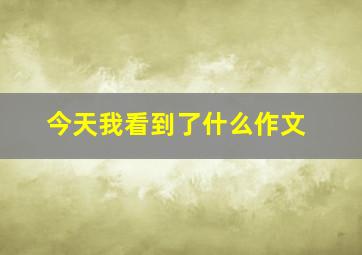 今天我看到了什么作文