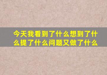 今天我看到了什么想到了什么提了什么问题又做了什么