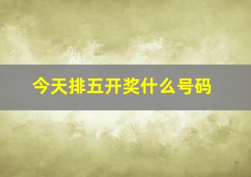 今天排五开奖什么号码