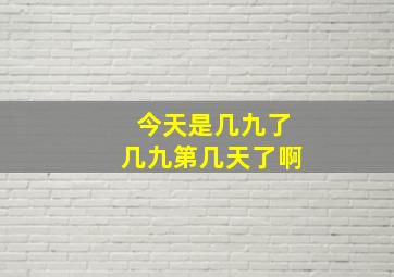 今天是几九了几九第几天了啊