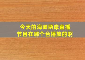 今天的海峡两岸直播节目在哪个台播放的啊