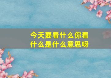 今天要看什么你看什么是什么意思呀