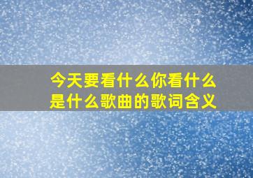 今天要看什么你看什么是什么歌曲的歌词含义