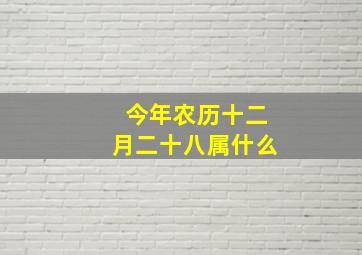 今年农历十二月二十八属什么