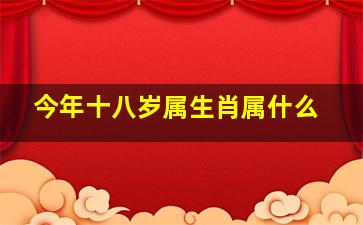 今年十八岁属生肖属什么