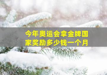 今年奥运会拿金牌国家奖励多少钱一个月