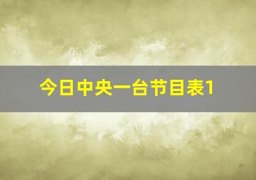 今日中央一台节目表1