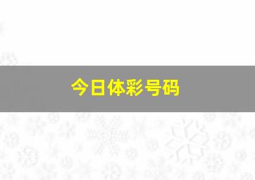 今日体彩号码