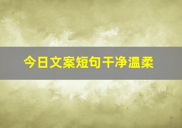 今日文案短句干净温柔