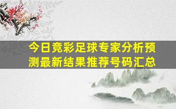 今日竞彩足球专家分析预测最新结果推荐号码汇总