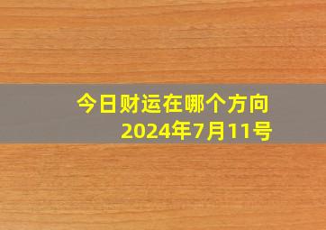 今日财运在哪个方向2024年7月11号