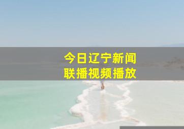 今日辽宁新闻联播视频播放