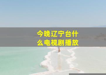 今晚辽宁台什么电视剧播放