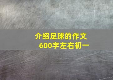 介绍足球的作文600字左右初一