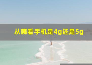 从哪看手机是4g还是5g