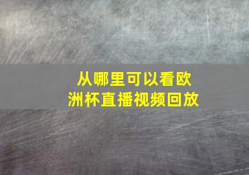 从哪里可以看欧洲杯直播视频回放