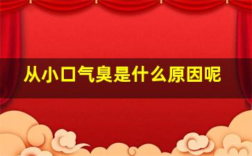 从小口气臭是什么原因呢