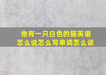 他有一只白色的猫英语怎么说怎么写单词怎么读