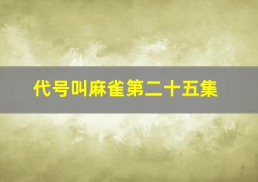 代号叫麻雀第二十五集