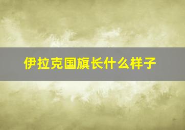 伊拉克国旗长什么样子