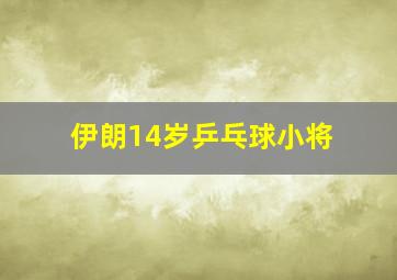 伊朗14岁乒乓球小将