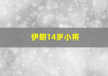 伊朗14岁小将