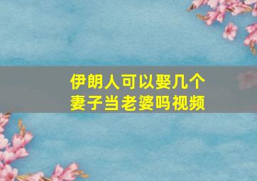 伊朗人可以娶几个妻子当老婆吗视频