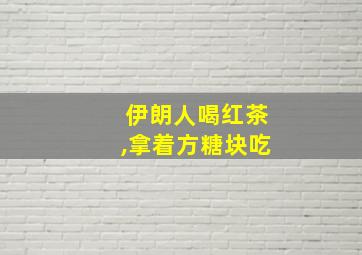 伊朗人喝红茶,拿着方糖块吃