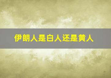 伊朗人是白人还是黄人