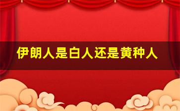 伊朗人是白人还是黄种人