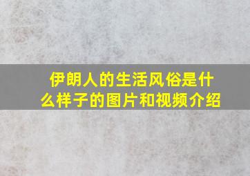 伊朗人的生活风俗是什么样子的图片和视频介绍