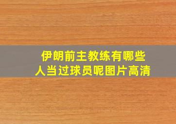 伊朗前主教练有哪些人当过球员呢图片高清