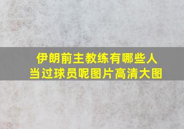 伊朗前主教练有哪些人当过球员呢图片高清大图