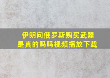 伊朗向俄罗斯购买武器是真的吗吗视频播放下载