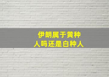 伊朗属于黄种人吗还是白种人