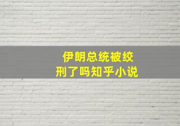 伊朗总统被绞刑了吗知乎小说