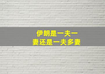 伊朗是一夫一妻还是一夫多妻