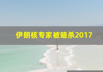 伊朗核专家被暗杀2017