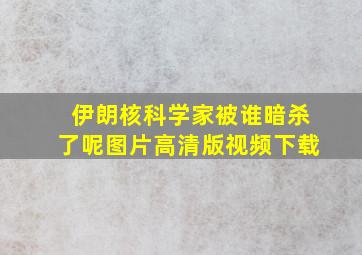 伊朗核科学家被谁暗杀了呢图片高清版视频下载