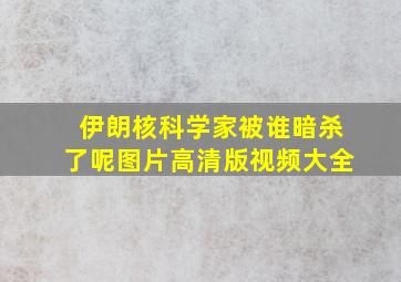 伊朗核科学家被谁暗杀了呢图片高清版视频大全