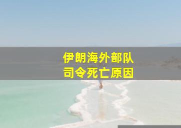 伊朗海外部队司令死亡原因