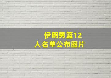 伊朗男篮12人名单公布图片