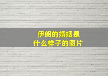 伊朗的婚姻是什么样子的图片