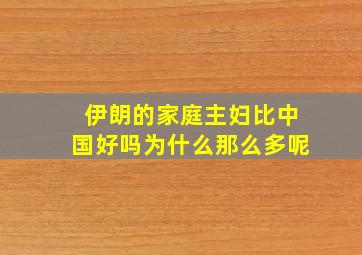 伊朗的家庭主妇比中国好吗为什么那么多呢