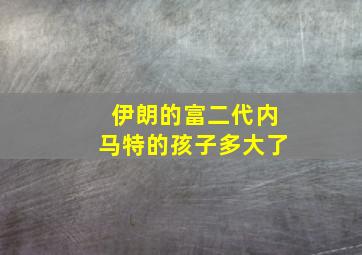 伊朗的富二代内马特的孩子多大了