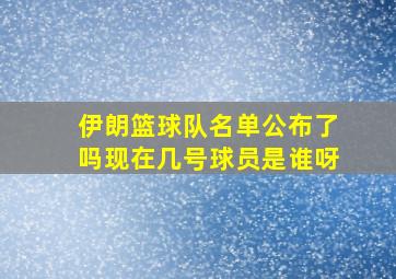 伊朗篮球队名单公布了吗现在几号球员是谁呀