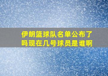 伊朗篮球队名单公布了吗现在几号球员是谁啊