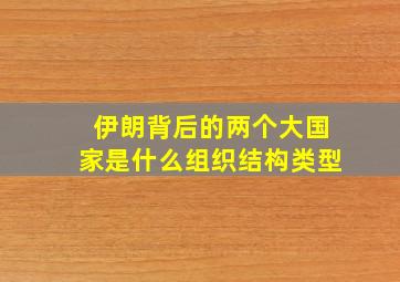 伊朗背后的两个大国家是什么组织结构类型